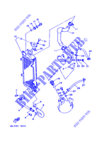 RADIATEUR / DURITES pour Yamaha DT125R de 1999